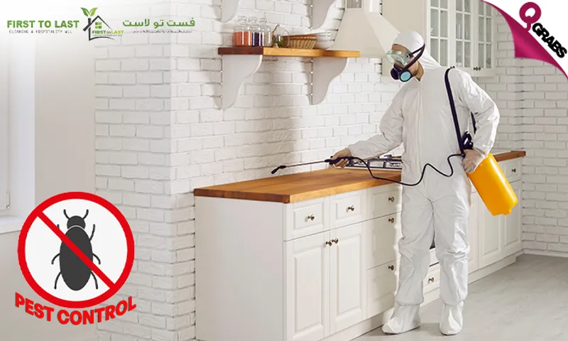 Shield Your Space with Pest Control Treatment!